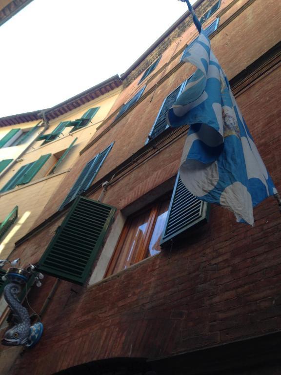 Palazzo Masi Bed and Breakfast Siena Buitenkant foto